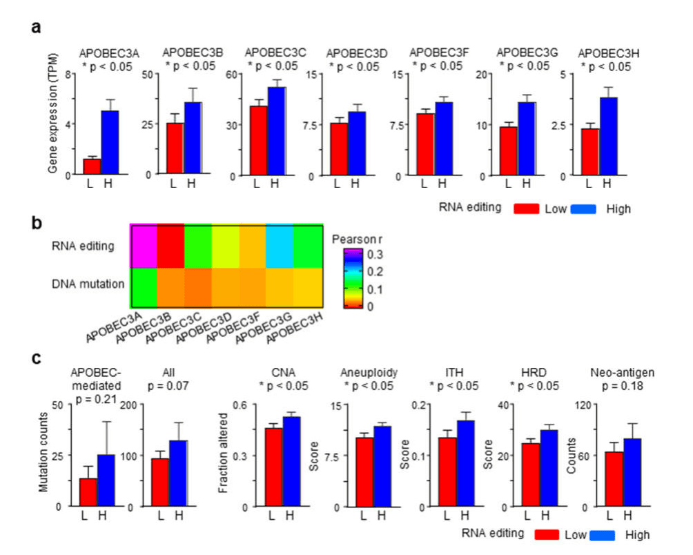如何做肿瘤免疫微环境的研究？这篇文章会告诉你！